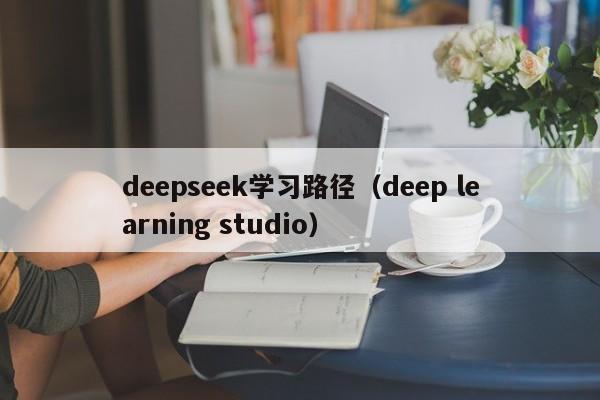 deepseek学习路径(deep learning studio)