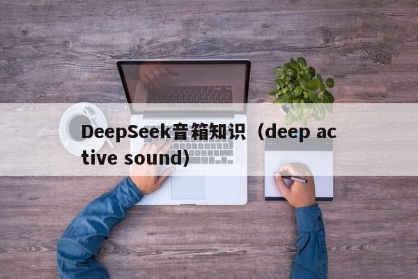 DeepSeek音箱知识（deep active sound）