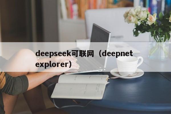 deepseek可联网(deepnet explorer)